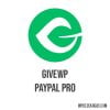 Givewp Paypal Pro 64cdb31d5a2c9.jpeg