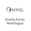 Gravity Forms Multilingual 64d297209e86e.jpeg