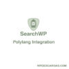 Searchwp Polylang Integration 661fbf3968227.jpeg