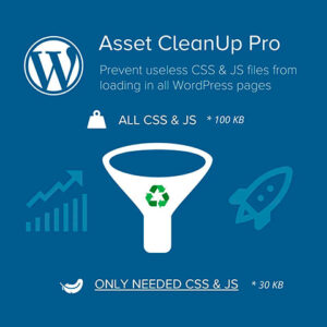 Asset cleanup pro wordpress