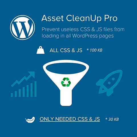 Asset cleanup pro wordpress