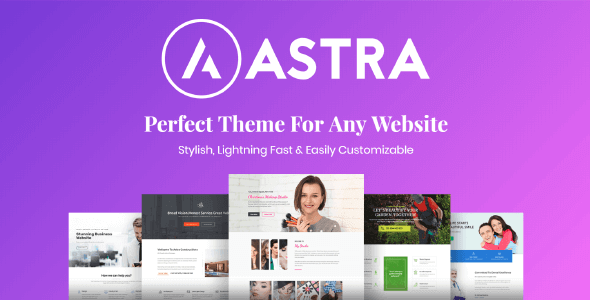 Astra Pro Wordpress Plugin: Exclusive Time Saving Features 66fcfb3c8fa40.png