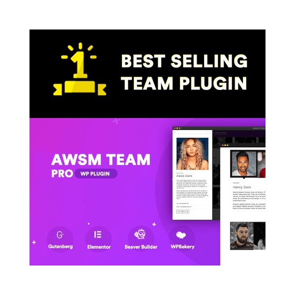 Awsm team pro showcase wordpress plugin