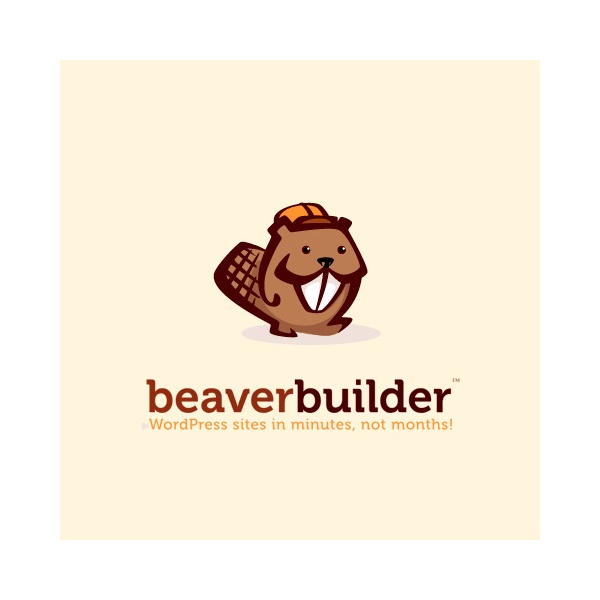 Beaver Builder Pro 69b5317d87e5e.jpeg