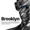 Brooklyn Creative Multipurpose Responsive WordPress Theme