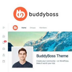 BuddyBoss Theme and Platform Pro.