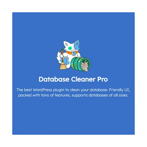 Database Cleaner Pro 695cc95f4470b.jpeg