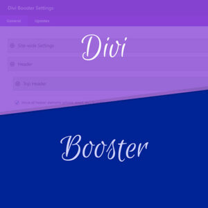 Divi Booster