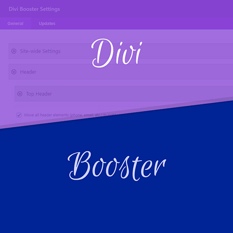 Divi Booster 68bece2e548a2.jpeg