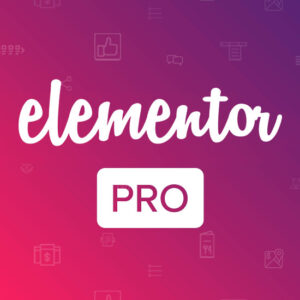 Elementor Pro.