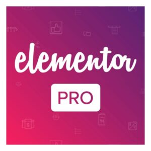 Elementor Pro 6980ad6bc9596.jpeg