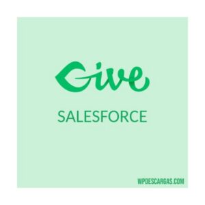 Givewp Salesforce 696361f8d2005.jpeg