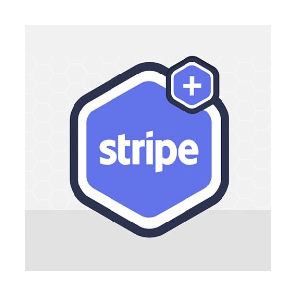 Gravity Forms Stripe 6960be2c29f03.jpeg