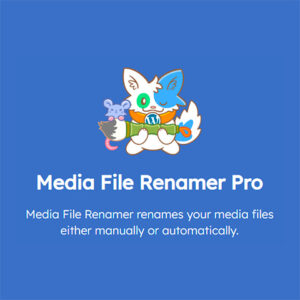 Media File Renamer Pro 68b19e95dd54e.jpeg