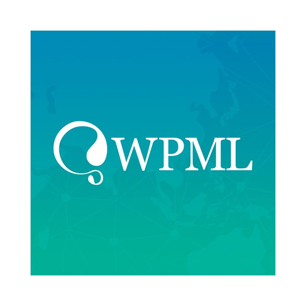 Pack Wpml 69c6d380751fe.jpeg