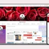 PeepSo Gecko WordPress Theme