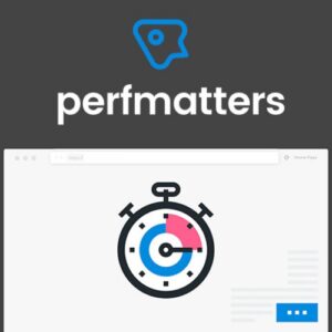 Perfmatters – Lightweight Wordpress Performance Plugin 693d26537b328.jpeg