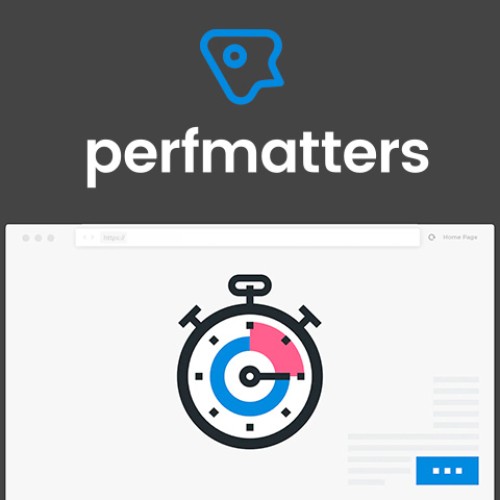 Perfmatters – Lightweight WordPress Performance Plugin 69846a0ae4dd8.jpeg