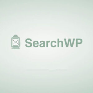Searchwp 686ccdc4e9073.jpeg