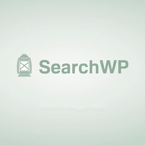 Searchwp 686ccdc4e9073.jpeg