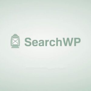 Searchwp 693d260498fc2.jpeg