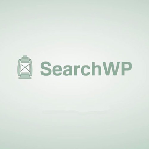 Searchwp 693d260498fc2.jpeg