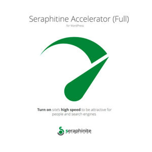 Seraphinite Accelerator (full) 68c01f17b2bd1.jpeg