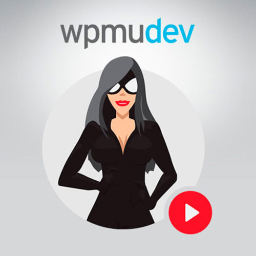 Smartcrawl Pro 68c1711c1caf3.jpeg