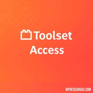 Toolset Access 68779d48586d0.jpeg