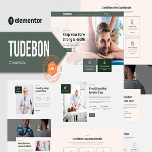 Tudebon – Chiropractic & Physiotherapy Elementor Template Kit 6937befa425dd.jpeg