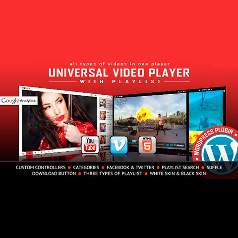 Universal video player