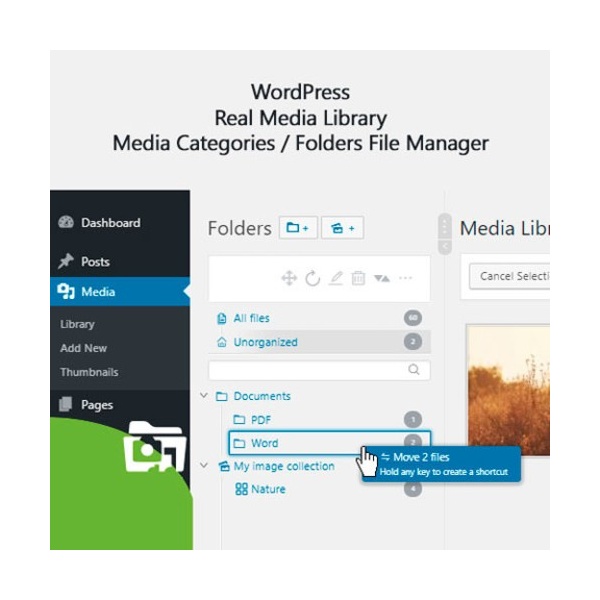 Wordpress Real Media Library – Media Categories / Folders File Manager 695e1b4f85dee.jpeg