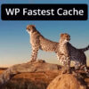WP Fastest Cache Premium