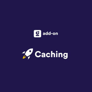 WP Grid Builder Caching