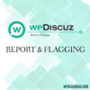 wpDiscuz Report and Flagging