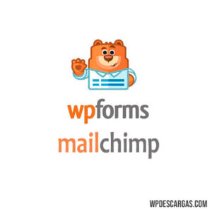 Wpforms Mailchimp 68949dbad2862.jpeg