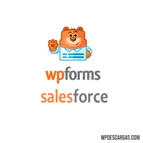 Wpforms Salesforce 691f7fbb0717b.jpeg