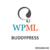Wpml Multilingual For Buddypress And Buddyboss 6909ed11311da.jpeg
